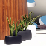 ULM - Planter