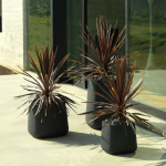 ULM - Collection de jardinières carrées (8 variantes)